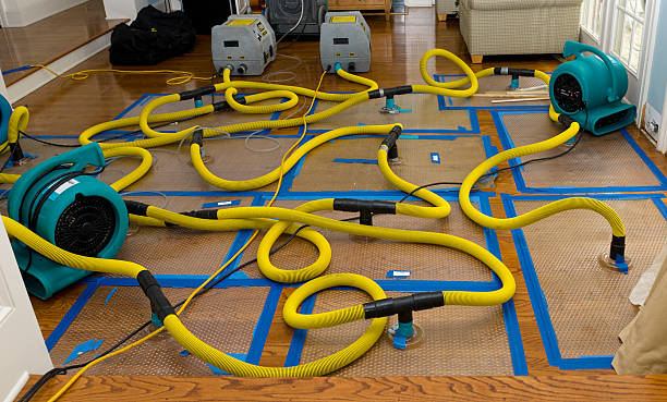 Professional Water Damage Repair technician working in Blue Gap, AZ